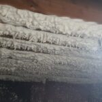 The ceiling of a house is covered with white *spray foam insulation*.