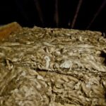 A pile of wood shavings in a basement, suitable for loft boarding.