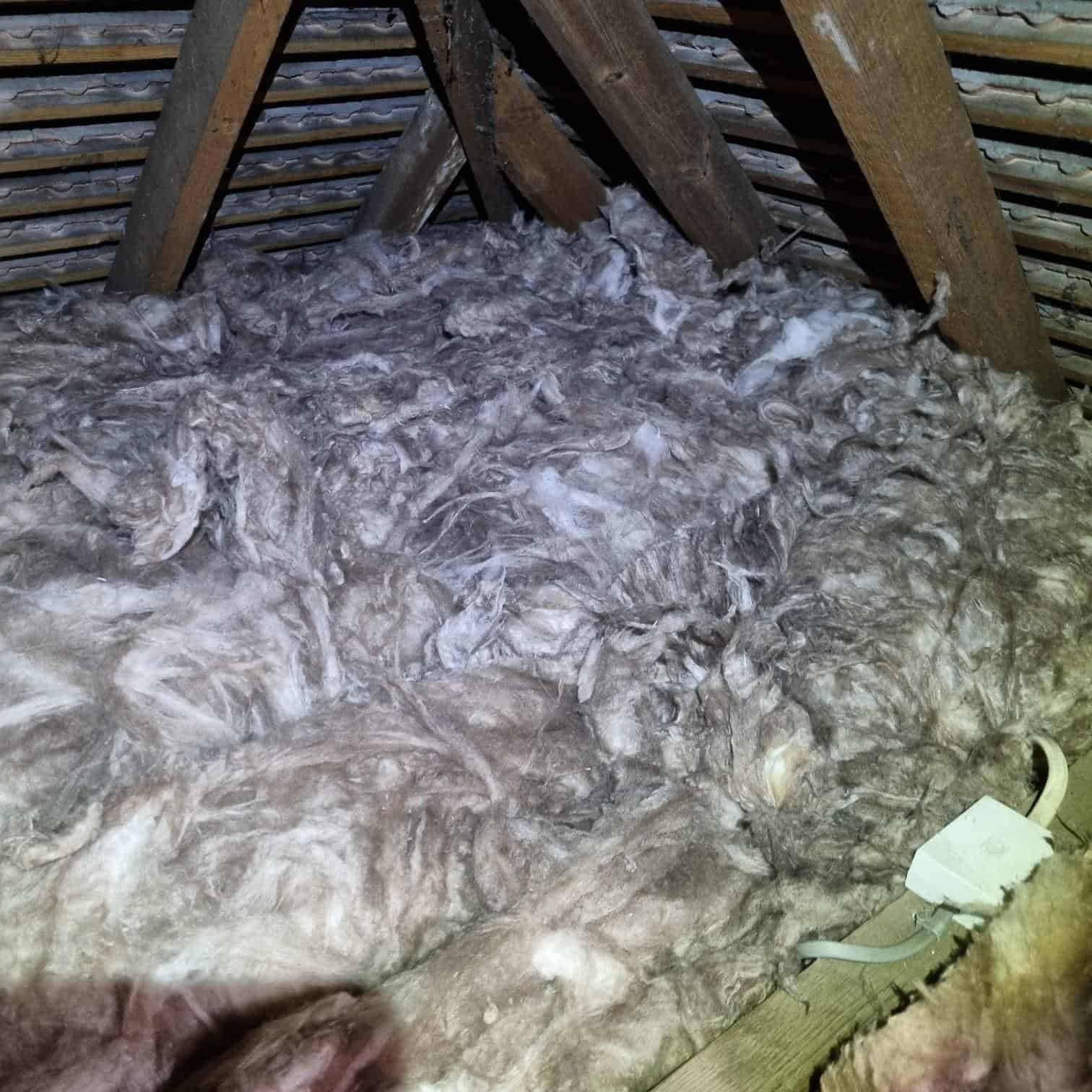Loft insulation material laid between roof rafters for energy efficiency.