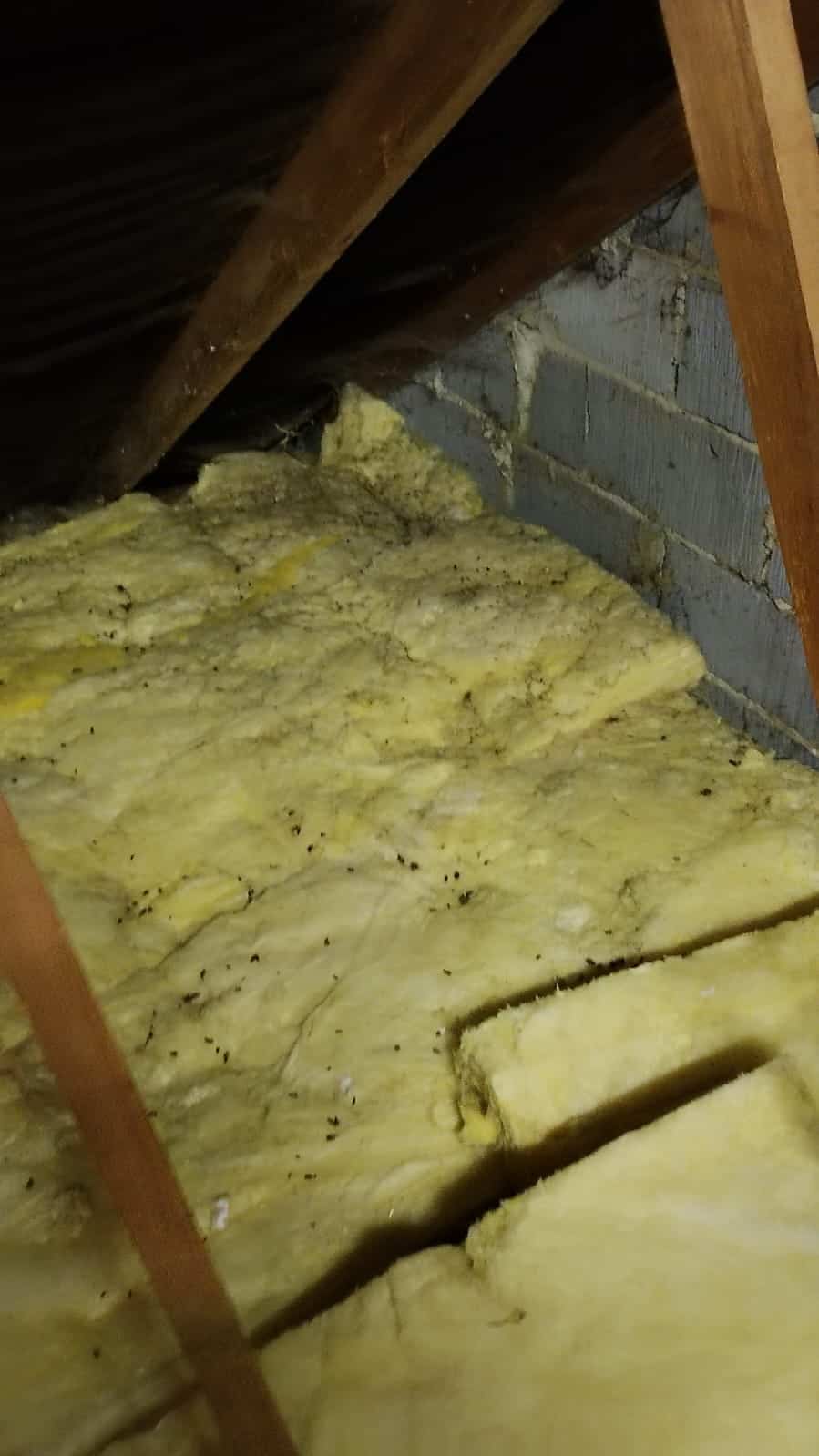 Loft insulation being installed between roof rafters.