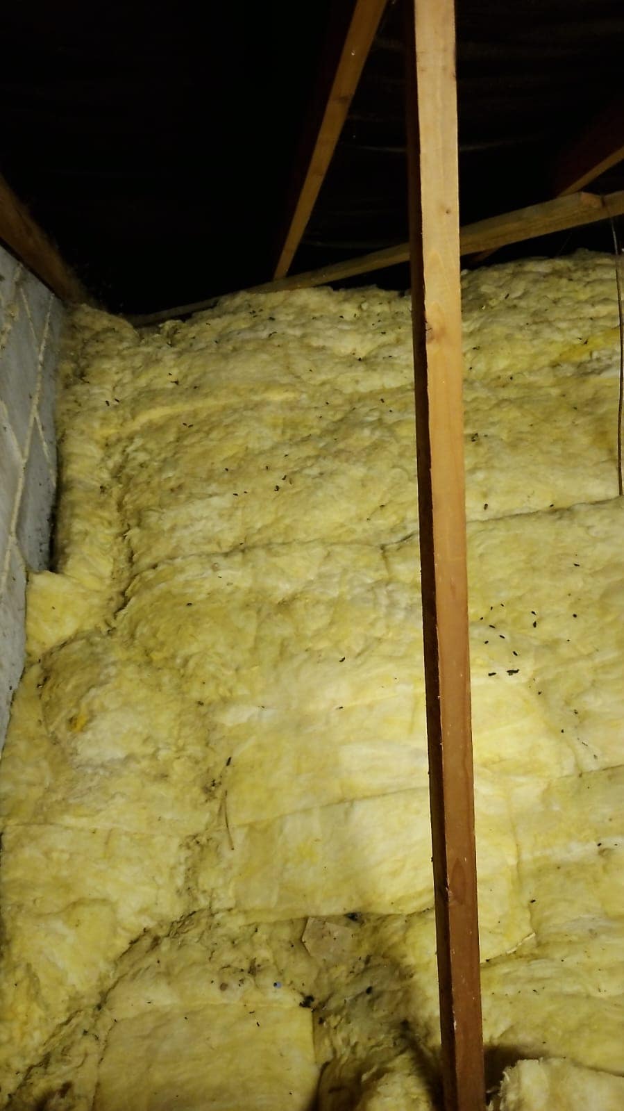 Loft insulation being installed with spray foam in a residential attic.